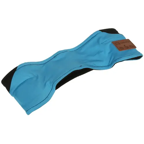 

Беспроводная гарнитура HARPER HB-500, черный/голубой (HB-500), HB-500