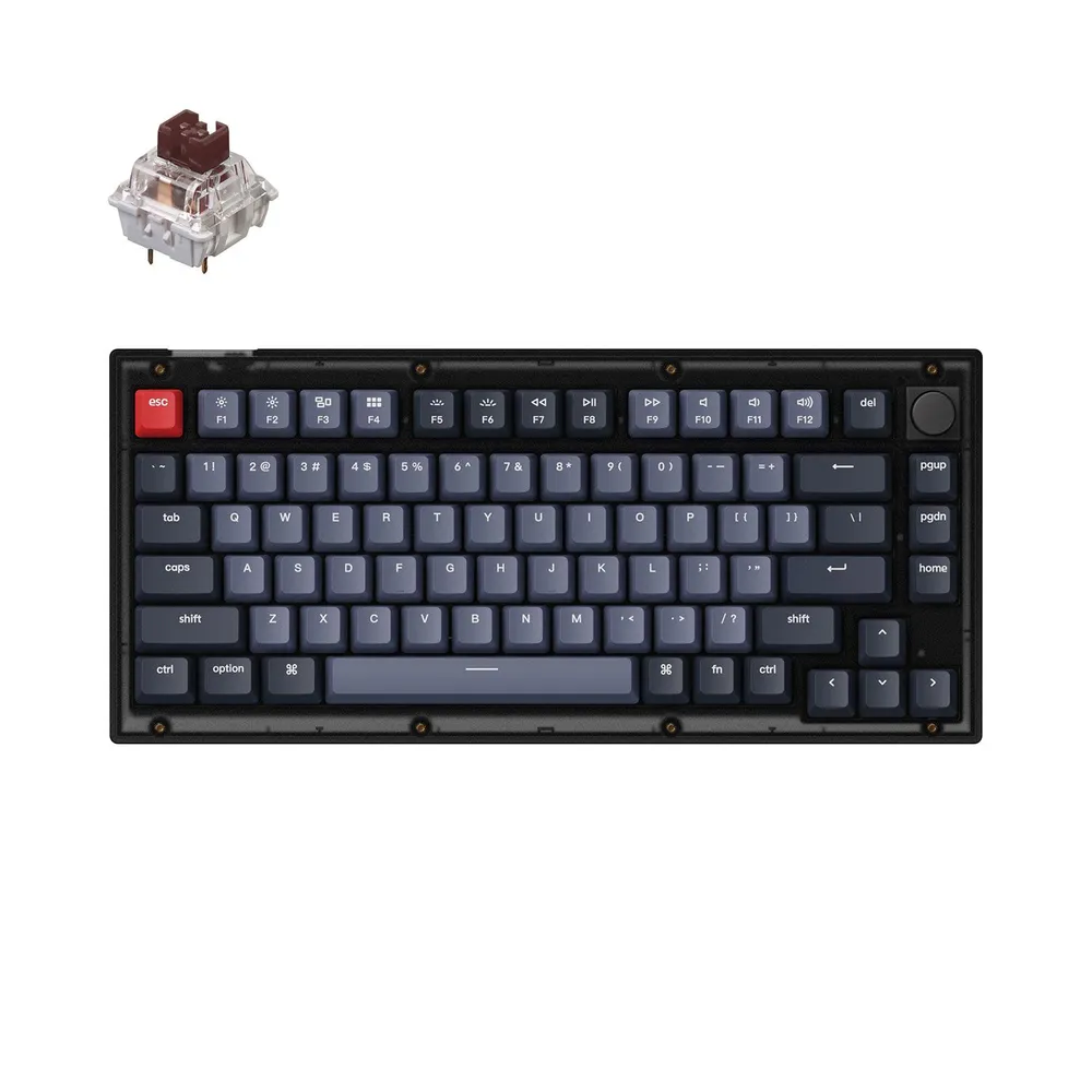 

Клавиатура проводная Keychron V1-C3, механическая, Brown Switch, подсветка, USB, черный (V1-C3-RU), V1-C3