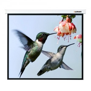 Экран для проектора Lumien Eco Picture 200x200 (LEP-100103) новый, царапина на корпусе