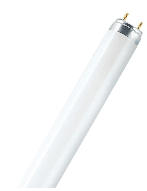

Лампа линейная люминесцентная G13 Basic 765, T8, ⌀2.6 см x 89.5 см, 30 Вт, 1900лм, 6500 K/холодный, 79 Ra, OSRAM (4008321959706), Basic 765