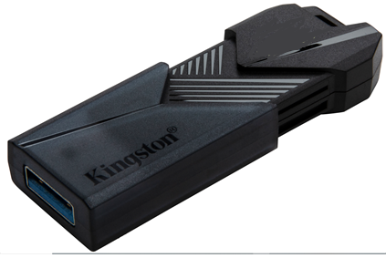 

Флешка 256Gb USB 3.2 Gen 1 Kingston DataTraveler Exodia Onyx, черный (DTXON/256GB)
