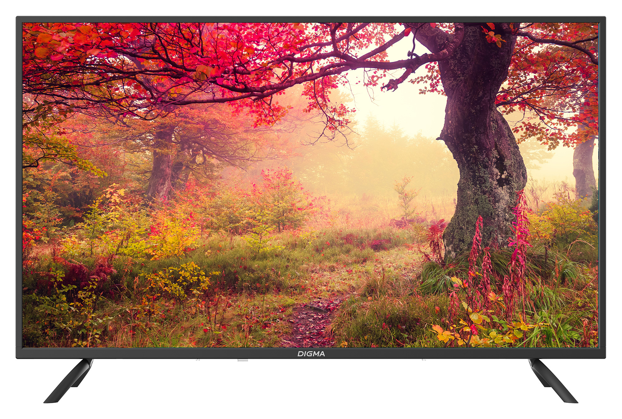 

Телевизор 43" Digma DM-LED43MBB21, 1920x1080, DVB-T /T2 /C, HDMIx3, USBx2, черный (DM-LED43MBB21), DM-LED43MBB21