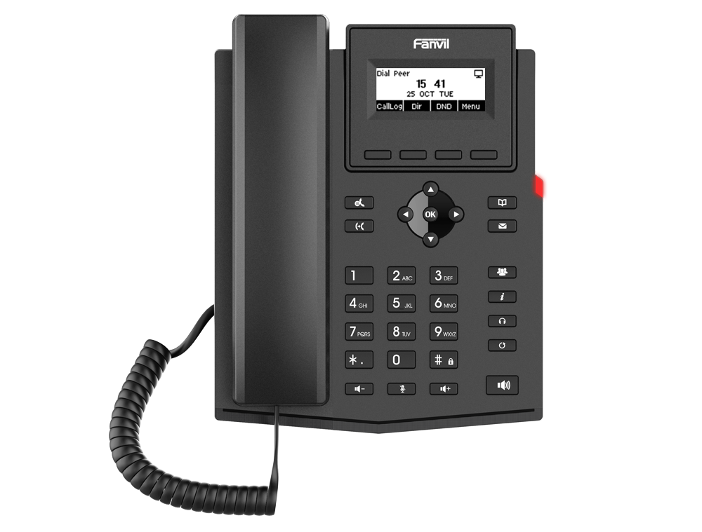 

VoIP-телефон Fanvil X301, 2 линии, 2 SIP-аккаунта, монохромный дисплей, черный, БП (X301), X301