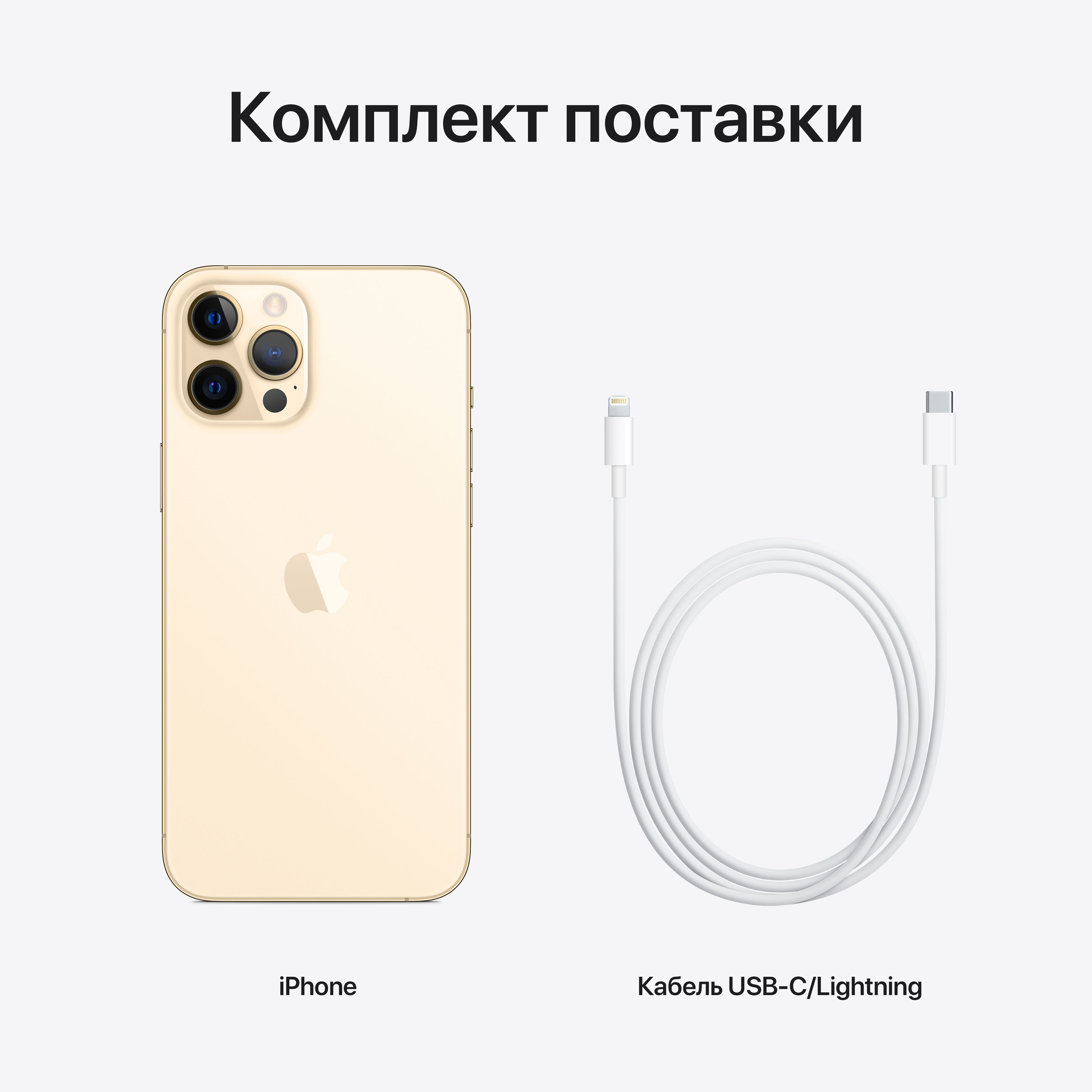 Смартфон Apple iPhone 12 Pro Max 6Gb/256Gb iOS золотистый (FGDE3B