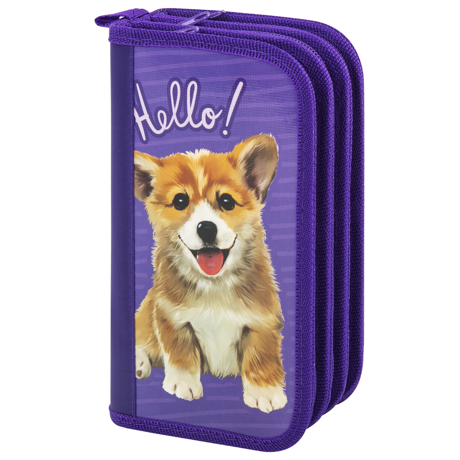 

Пенал ПИФАГОР HANDLE Little Dog, 3 отделения, фиолетовый (229214), Little Dog