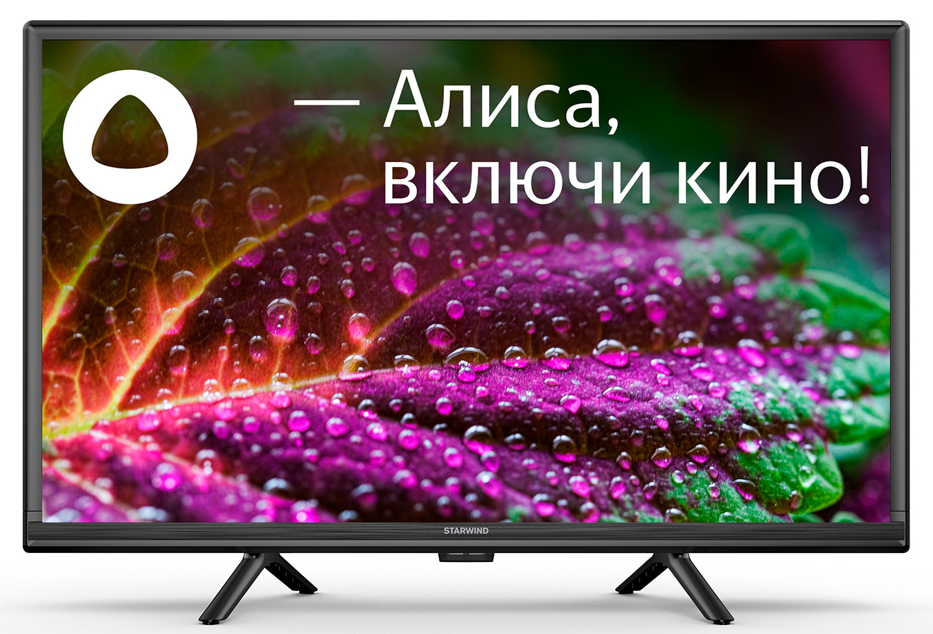 

Телевизор 24" StarWind SW-LED24SG304, 1366x768, DVB-T /T2 /C, HDMIx2, USBx2, WiFi, Smart TV, черный (SW-LED24SG304), SW-LED24SG304