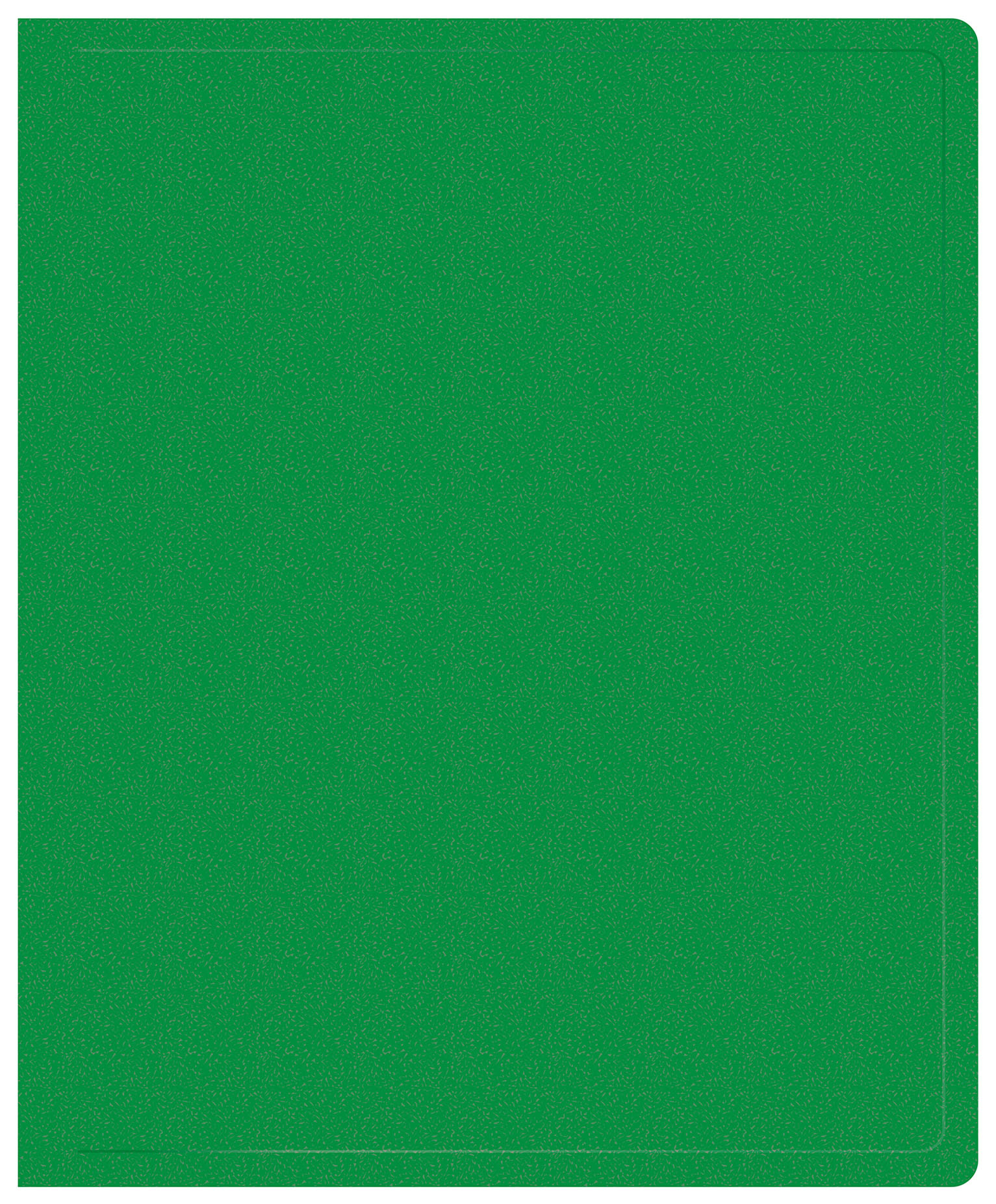 

Папка на кольцах Buro пластик, зеленый (-ECB0420/2RGREEN)