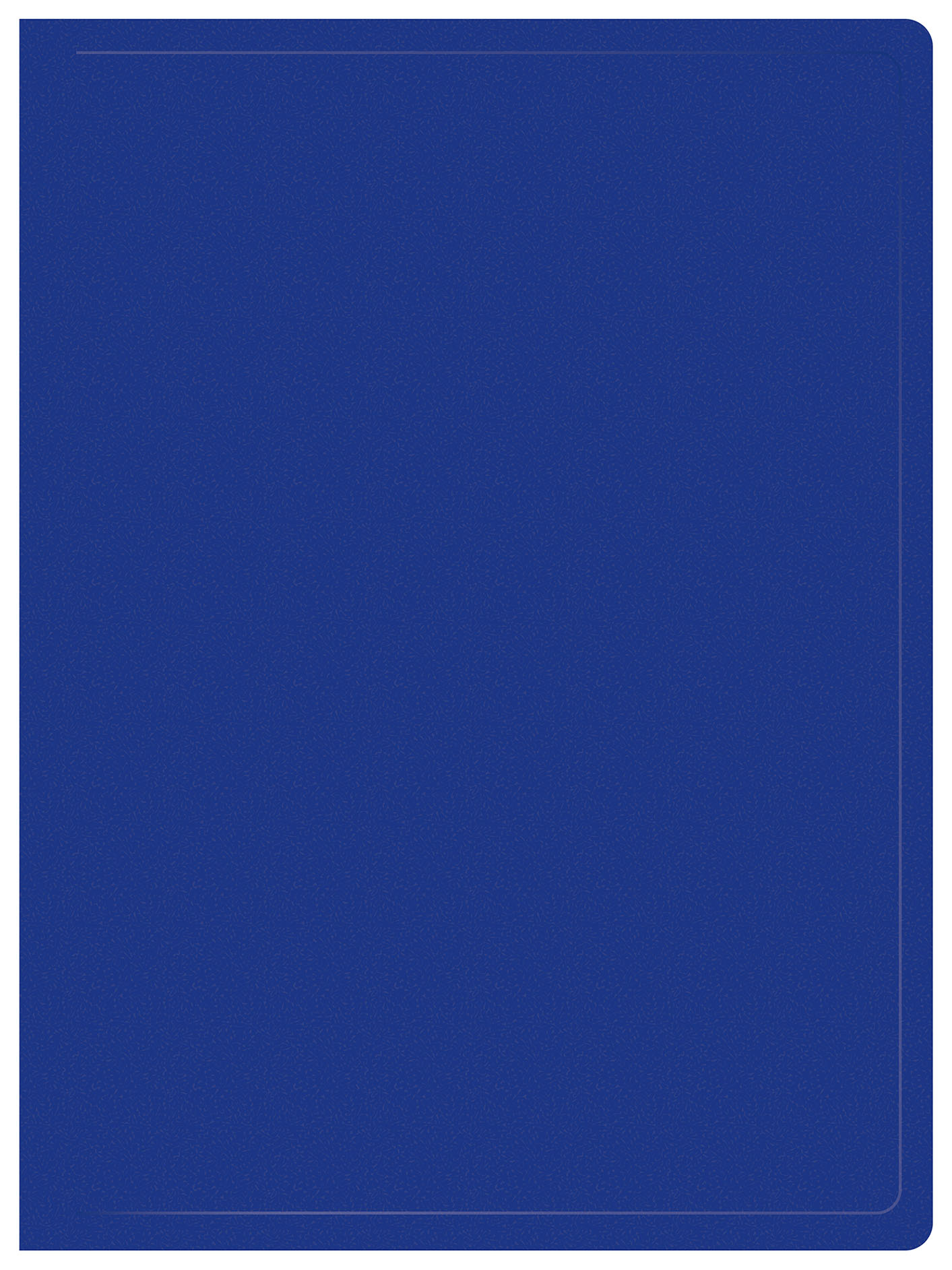 

Папка Buro пластик, синий (-ECB100BLUE)
