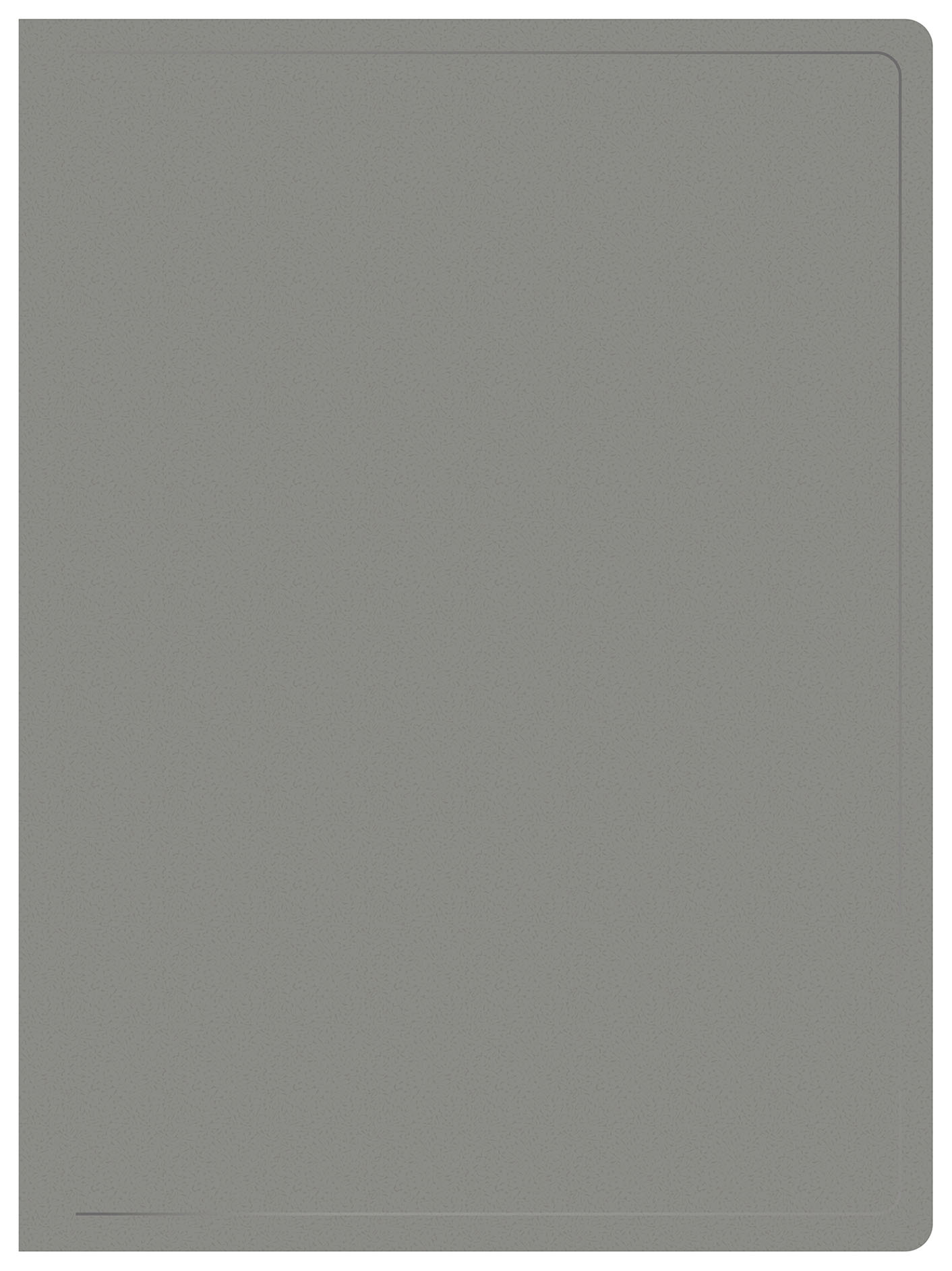 

Папка Buro пластик, серый (-ECB10GREY)