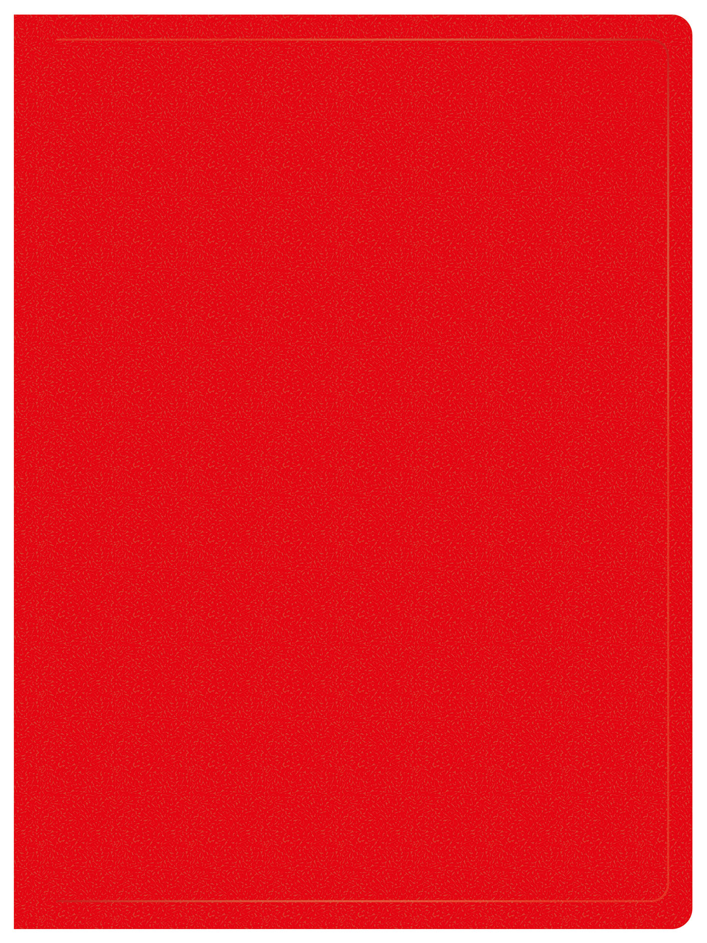 

Папка Buro пластик, красный (-ECB10RED)