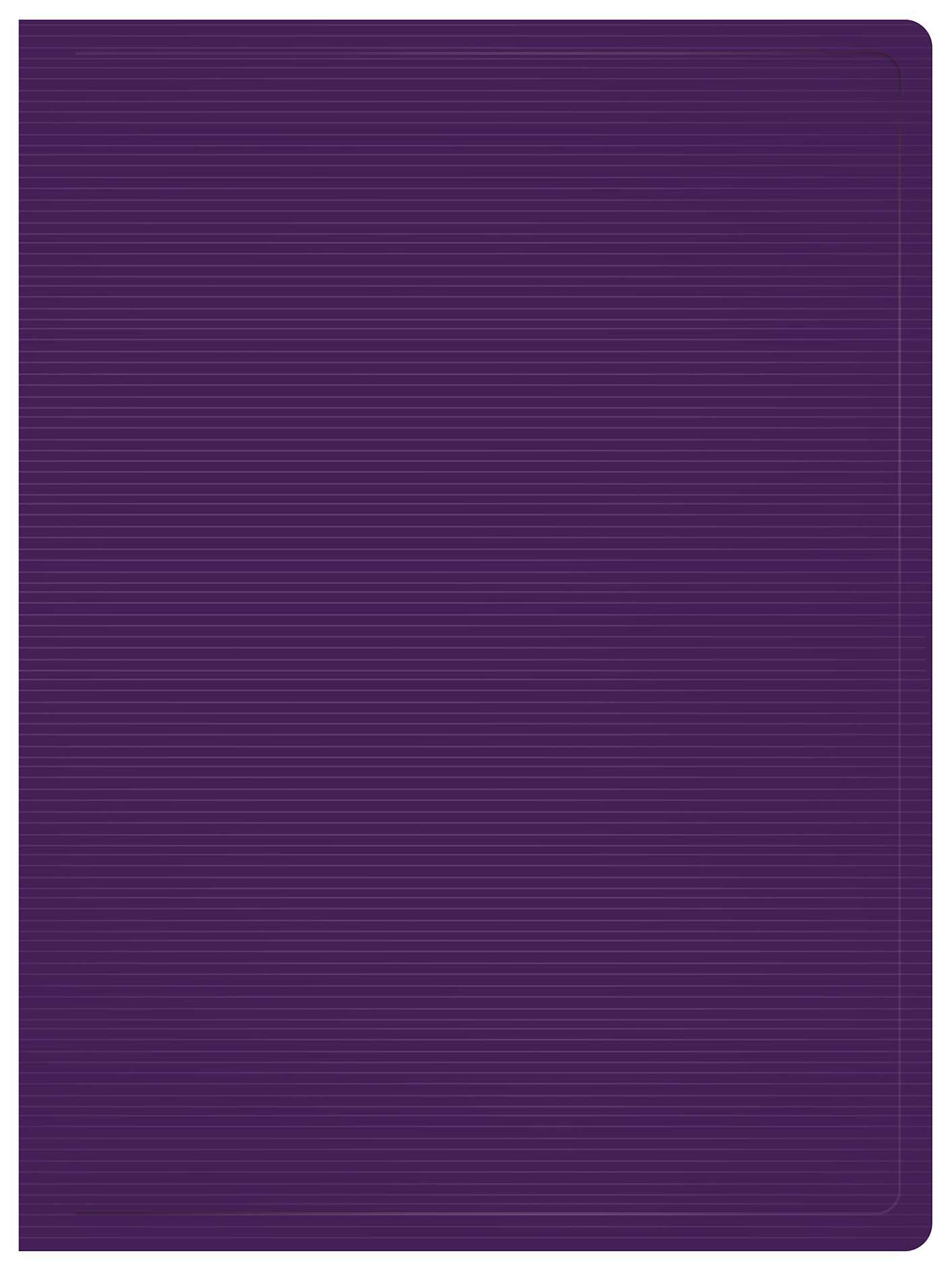 

Папка БЮРОКРАТ пластик, черничный (DLV10BBERRY)