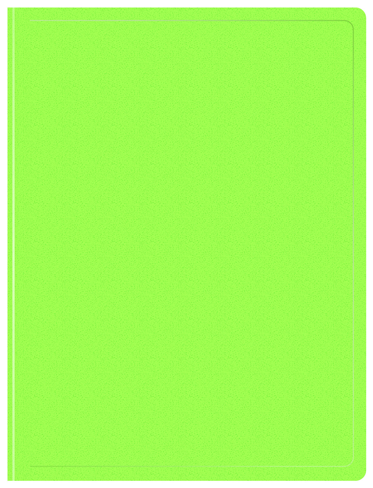 

Папка БЮРОКРАТ пластик, салатовый (DNE07V20LETT)