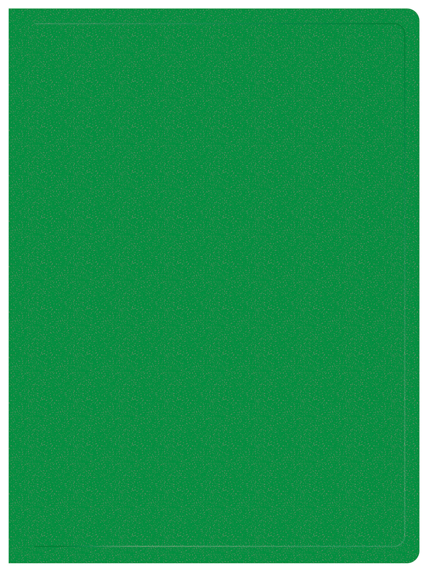 

Папка Buro пластик, зеленый (-ECB40GREEN)