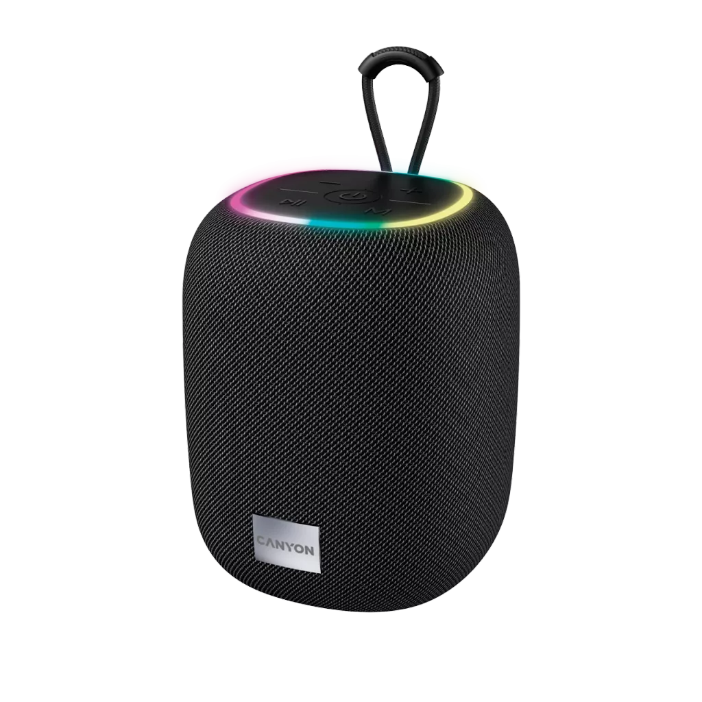 

Акустика Canyon BSP-8, 10 Вт, AUX, USB, microSD, Bluetooth, подсветка, черный (CNE-CBTSP8B), BSP-8