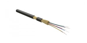 

Кабель оптический Hyperline многомодовый, 50/125мкм, OM3, 24 волокна, 1 м, черный, LSZH (FO-MB-IN/OUT-503-24-LSZH-BK)