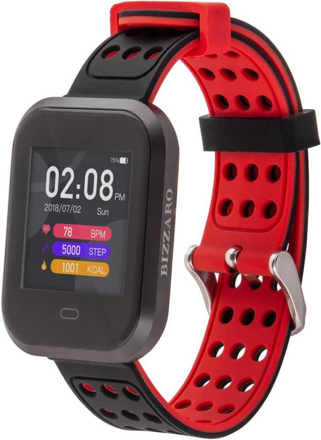 

Смарт-часы Rekam Bizzaro F630, 1.3" OLED, черный/серебристый (2202000010), Bizzaro F630