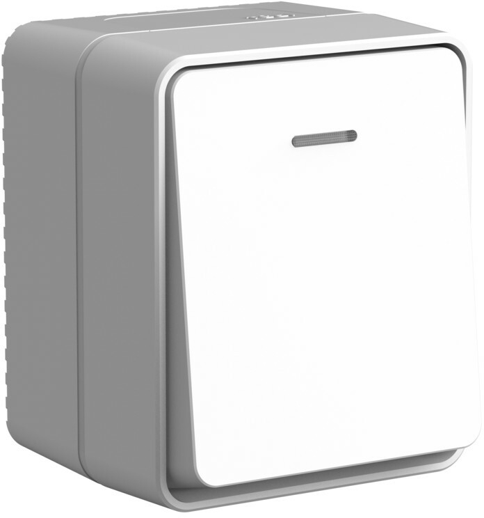 

Выключатель Schneider Electric AtlasDesign Profi54, 1кл., индикатор/подсветка, открытый монтаж, в сборе, серый (ATN543013)