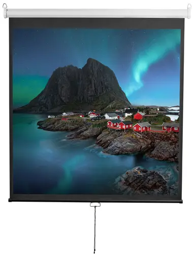 Экран для проектора Digis DSOD-1105, 112" 1:1 206x209