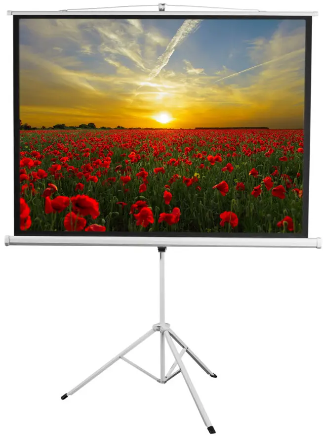

Экран для проектора на штативе Digis DSKD-4304 Kontur-D, формат 4:3, 240x180 MW, DSKD-4304