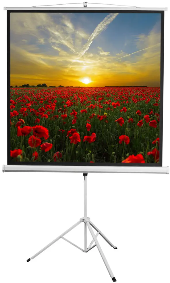 

Экран для проектора на штативе Digis Kontur-D DSKD-1106 (1:1, 112", 206x209), DSKD-1106