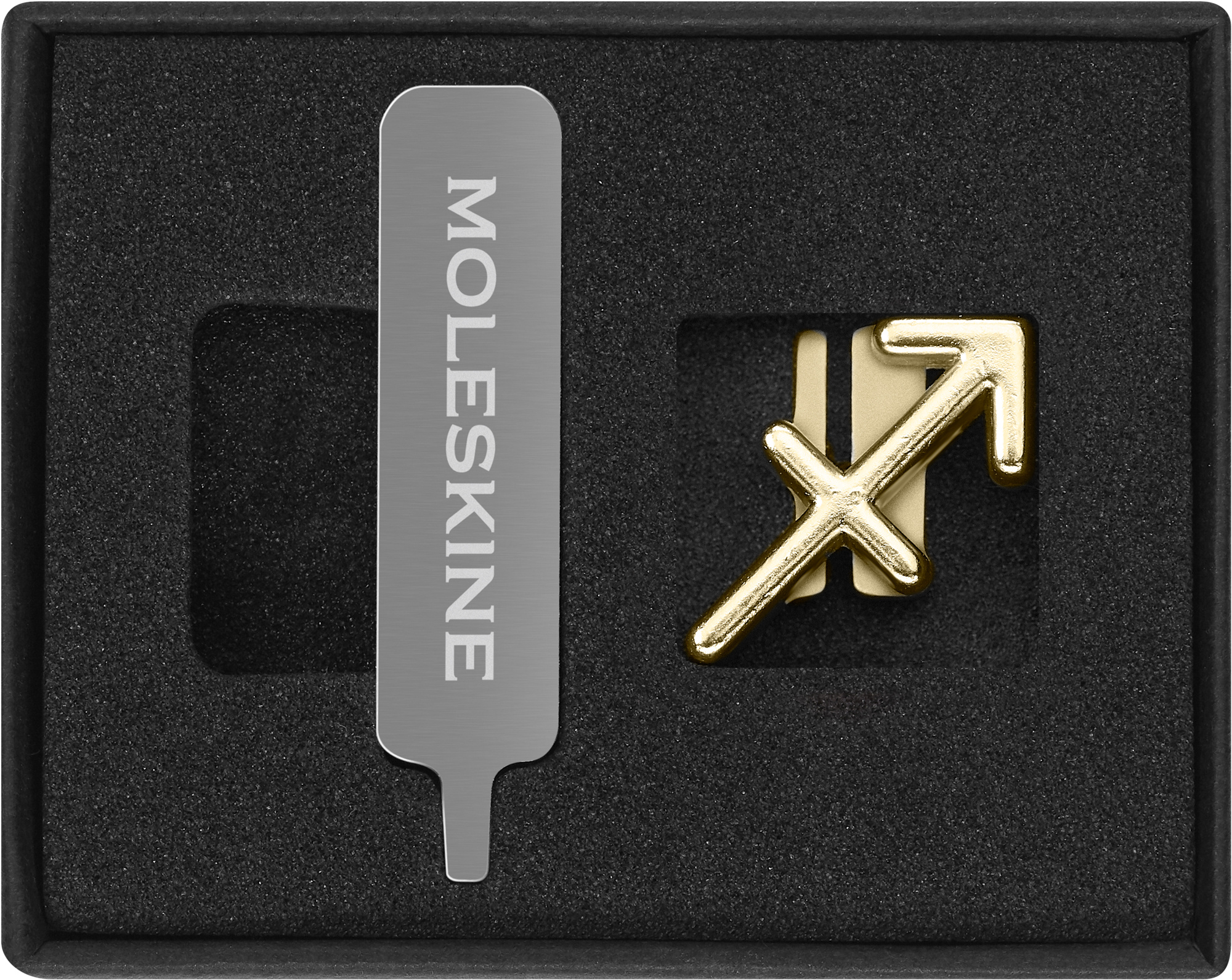 

Шильд-символ Moleskine Стрелец для блокнота, золотистый (PINSAGITTARIUSGOLD), Стрелец