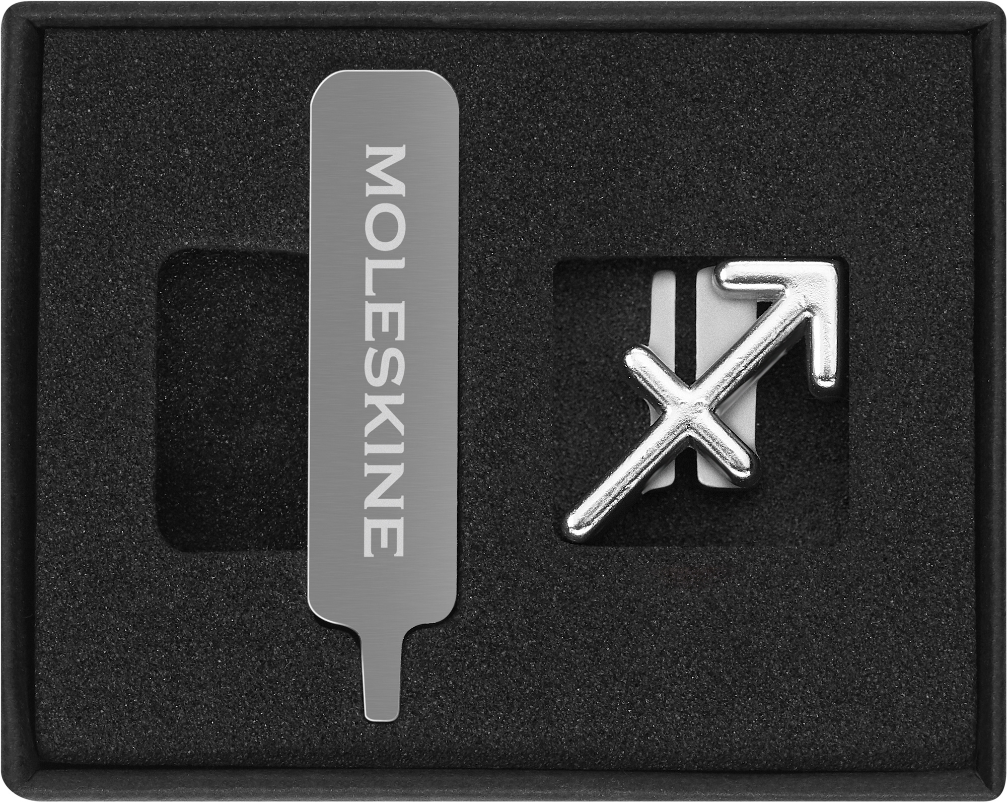 

Шильд-символ Moleskine Стрелец для блокнота, серебристый (PINSAGITTARIUSSILV), Стрелец
