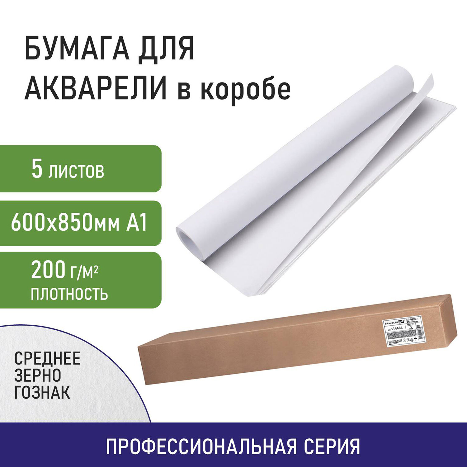 

Бумага для акварели 5 листов, А1, 200 г/м², картонный тубус, белый, BRAUBERG ART CLASSIC (114488)
