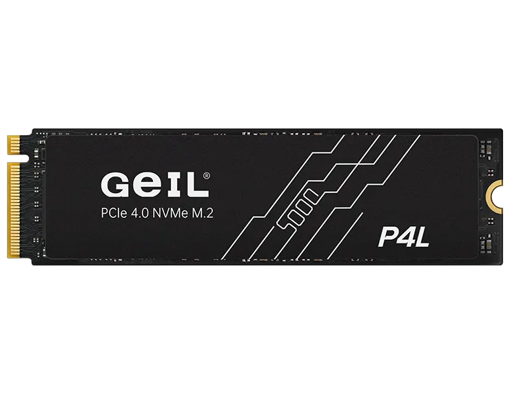 

Твердотельный накопитель (SSD) Geil 2Tb P4L, 2280, M.2, NVMe (P4LFD23C2TBA) Retail