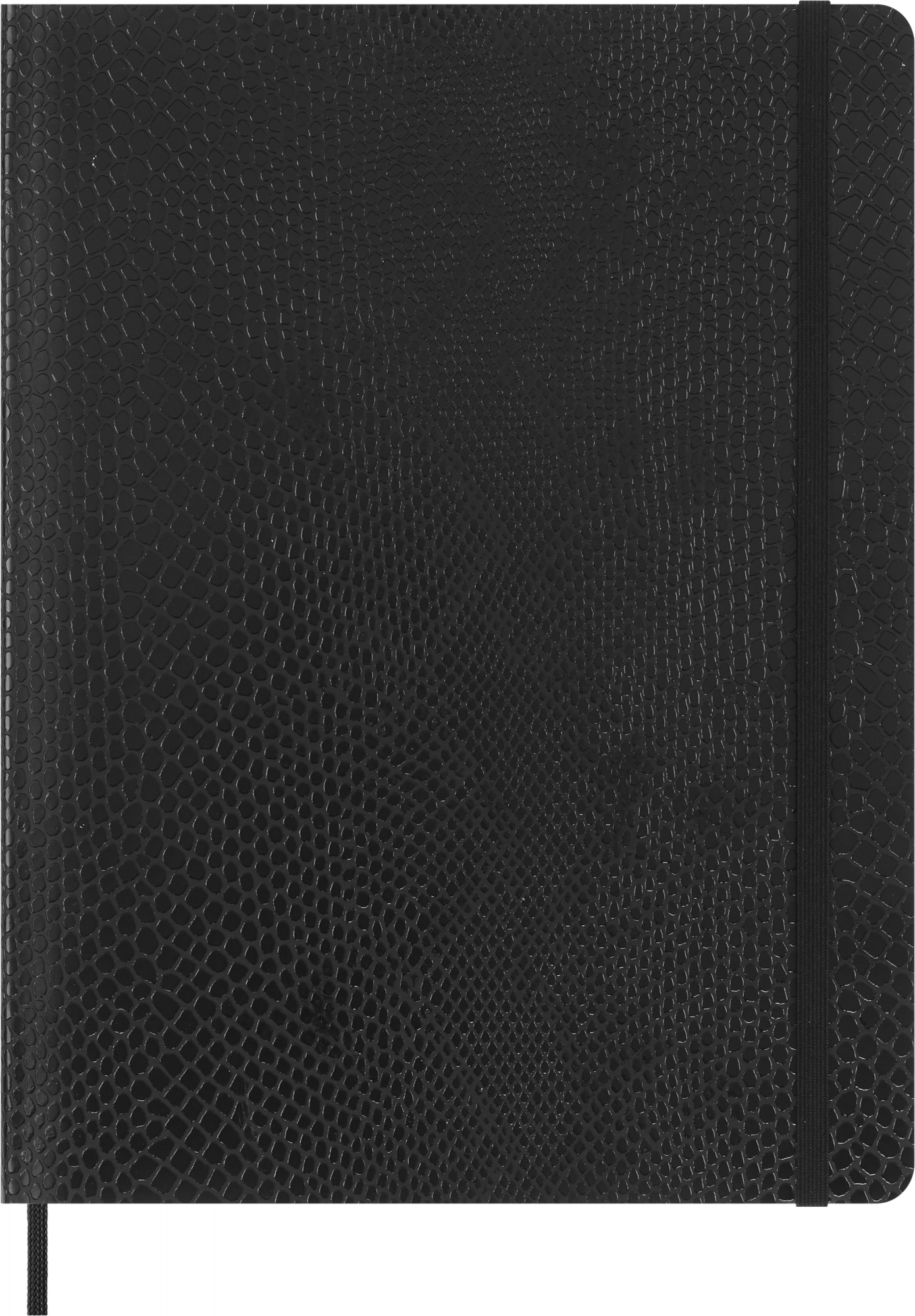 

Блокнот Moleskine LIMITED EDITION PRECIOUS & ETHICAL BOA, 190х250мм, линейка, 176 листов, черный (QP621VBOABOX) (1 шт.), PRECIOUS & ETHICAL BOA