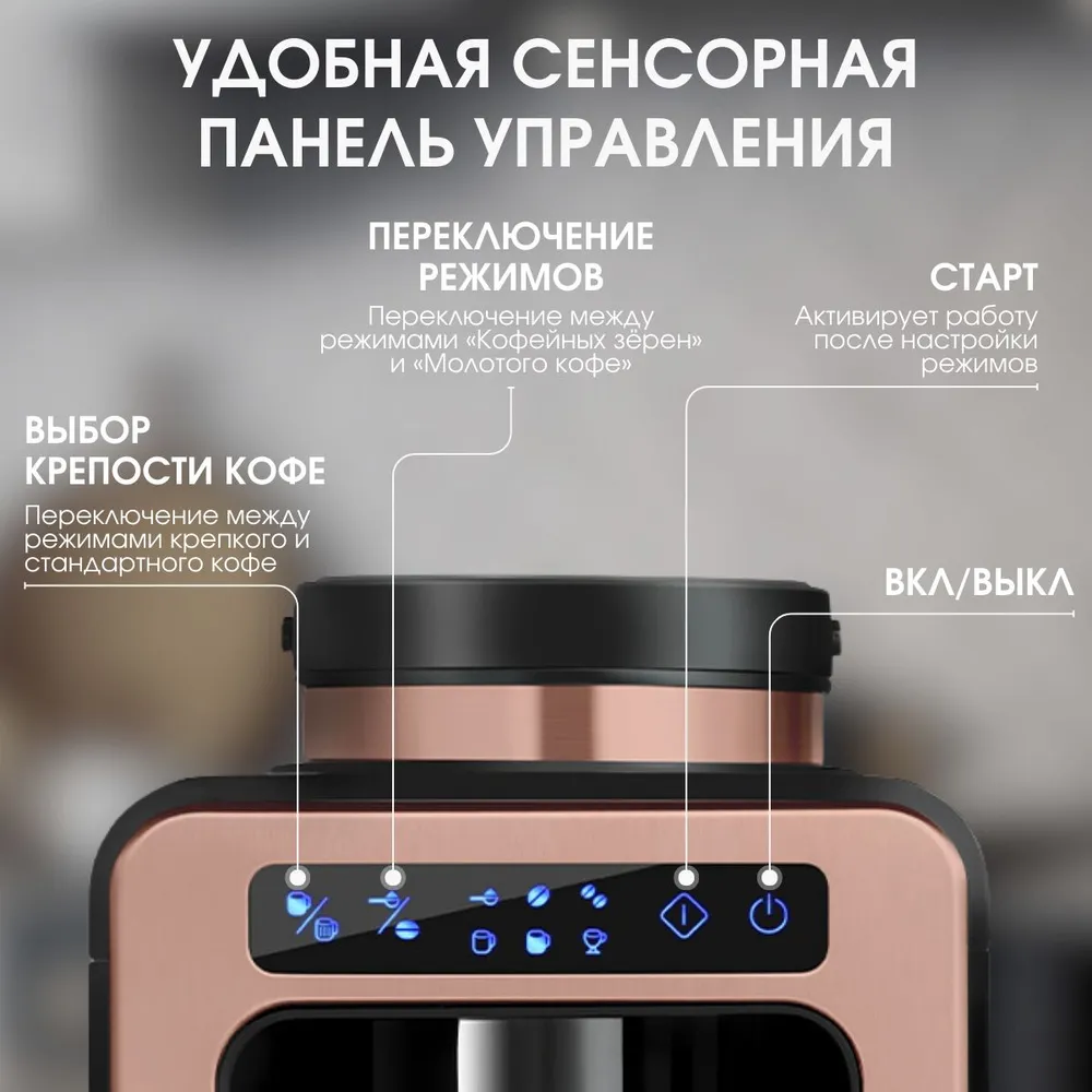 Кофеварка капельная BQ CM7000, 600 Вт, 600 мл/600 мл, 1259194 купить по  цене 5625 руб в Новосибирске в интернет-магазине e2e4