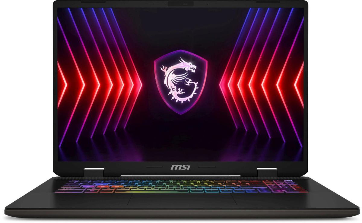Ноутбук 17" MSI Sword 17 HX B14VGKG-048XRU, серый (9S7-17T214-048)