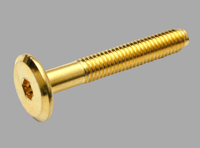 

Винт мебельный с плоской головкой Ferrometal, М6, 80 мм, под внутренний шестигранник, латунированная сталь, 1 шт. (FM 32766 80)