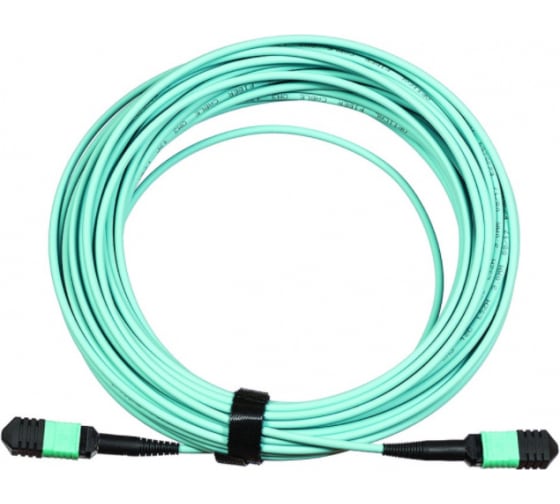 

Кабельная сборка LANMASTER, MPO/UPC-MPO/UPC, многомодовый, 50/125, OM3, двойной, 10 м, LSZH, бирюзовый (LAN-12M-12M/OM3B-10)