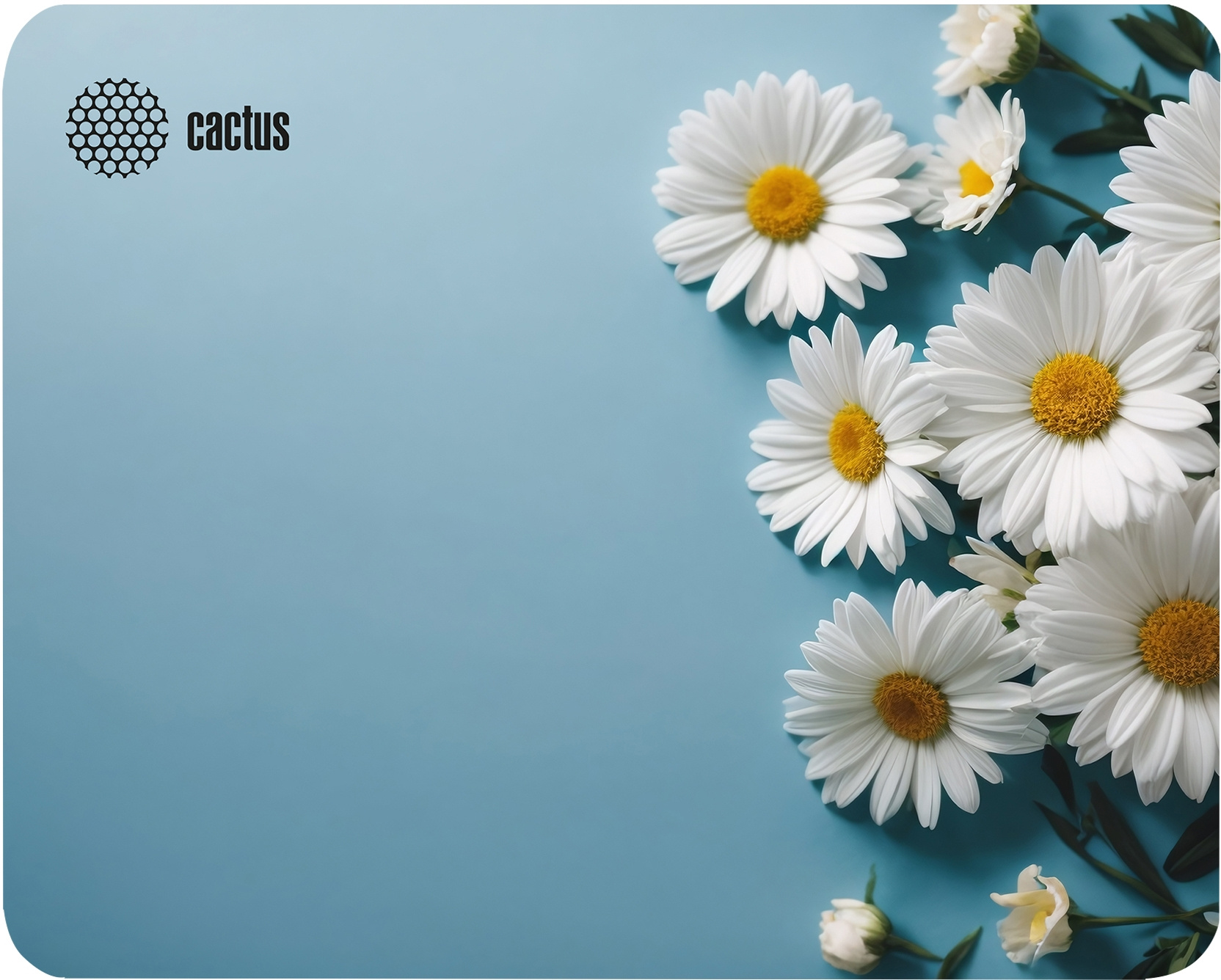 

Коврик для мыши Cactus Daisies, 250x200x3мм, принт (CS-MP-D07S), Daisies