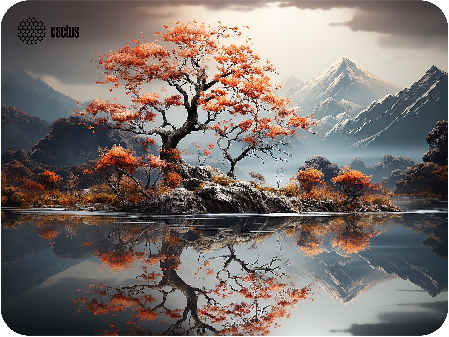 

Коврик для мыши Cactus Lake, игровой, 400x300x3мм, принт (CS-MP-PRO18XL), Lake