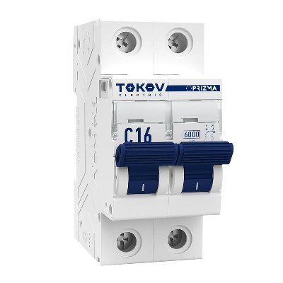 

Выключатель автоматический TOKOV ELECTRIC двухполюсный (2P/2П) 16А C 6кА (TKE-PZ60-MCBI-2-16-C)