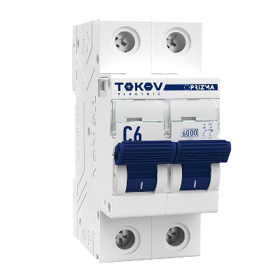 

Выключатель автоматический TOKOV ELECTRIC двухполюсный (2P/2П) 6А C 6кА (TKE-PZ60-MCBI-2-6-C)