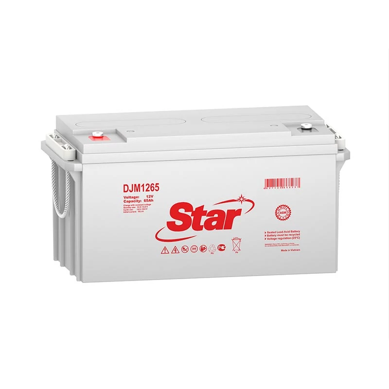 Аккумуляторная батарея для ИБП STAR DJM1265, 12V, 65Ah