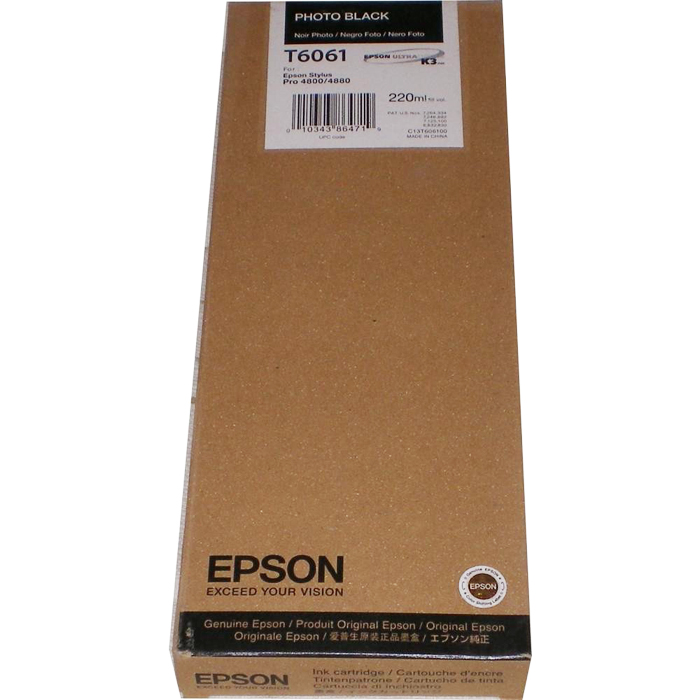 Картридж Epson T6061 (C13T606100)