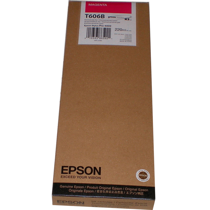 Картридж Epson T606B (C13T606B00)
