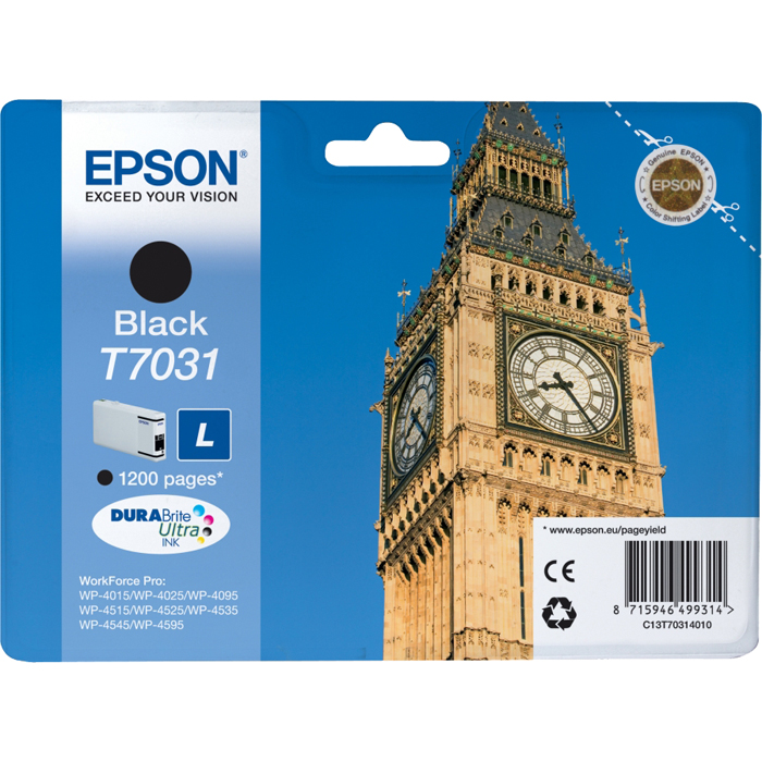Картридж Epson T7031 (C13T70314010)