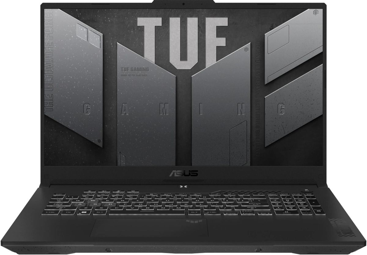 Ноутбук 17.3" ASUS TUF A17 FA707NUR-HX013, серый (90NR0JL5-M000K0)