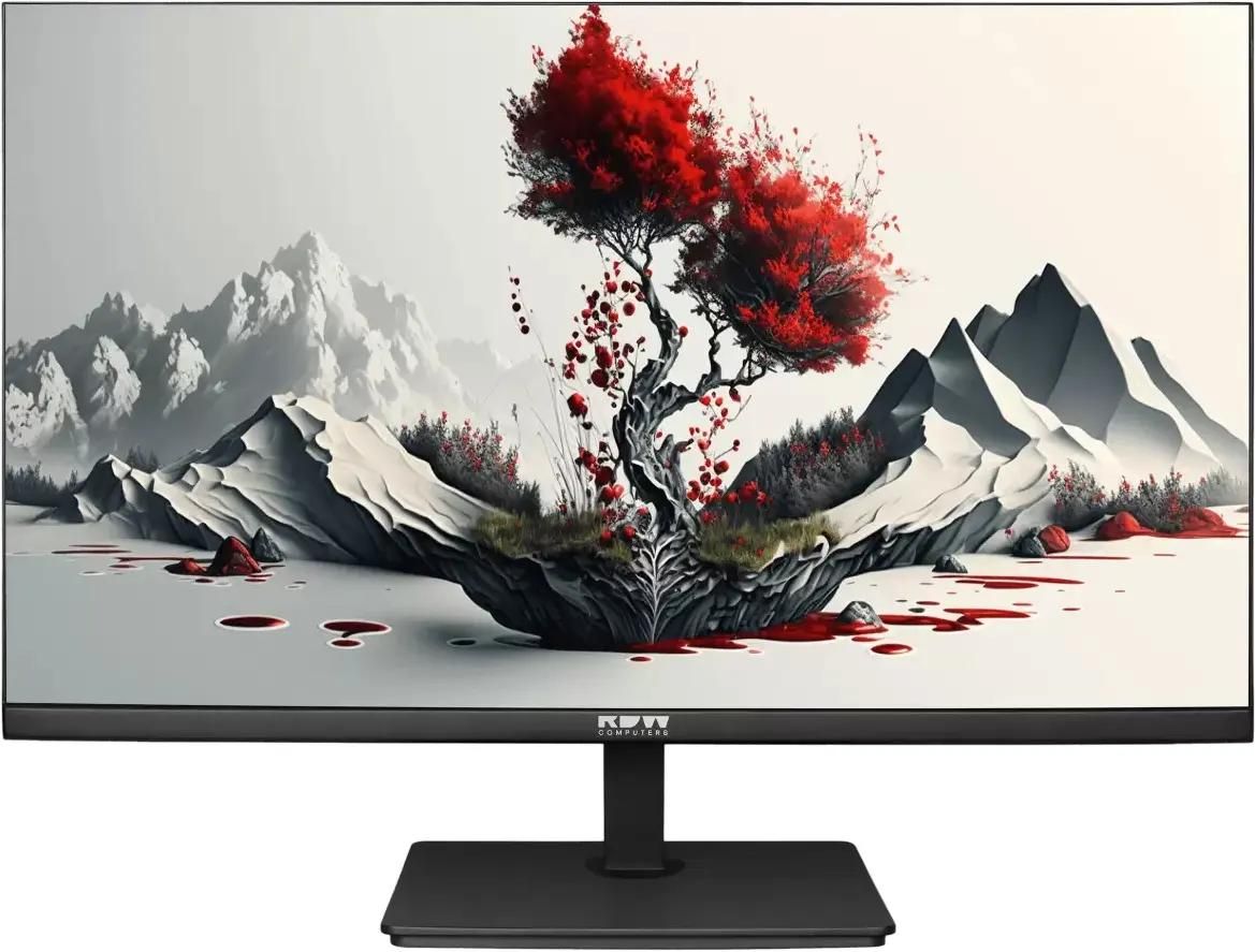 

Монитор 23.8" RDW 2401K IPS, 1920x1080 (16:9), 250кд/м2, 100 Гц, 4 мс, 178°/178°, VGA, HDMI, DisplayPort, черный (2401K/F00В3100V2A1H) Внесен в реестр Минпромторга РФ, 2401K