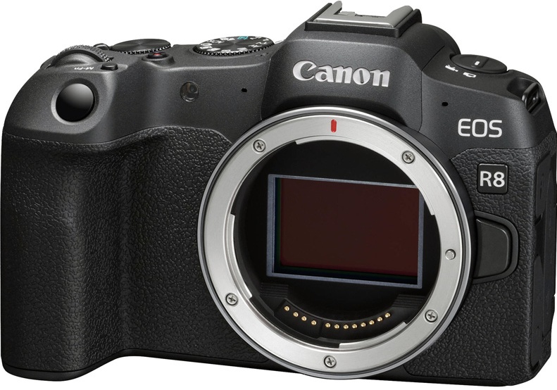 Беззеркальный фотоаппарат Canon R8 Body (5803C002)