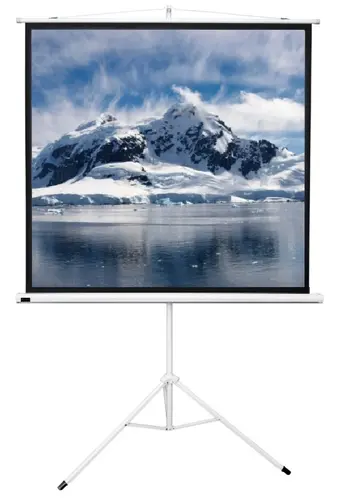 

Экран для проектора напольный рулонный Sakura-Printing TriScreen, 111", 1:1, 200x200см, белый матовый (SCPST-200x200), SCPST-200x200