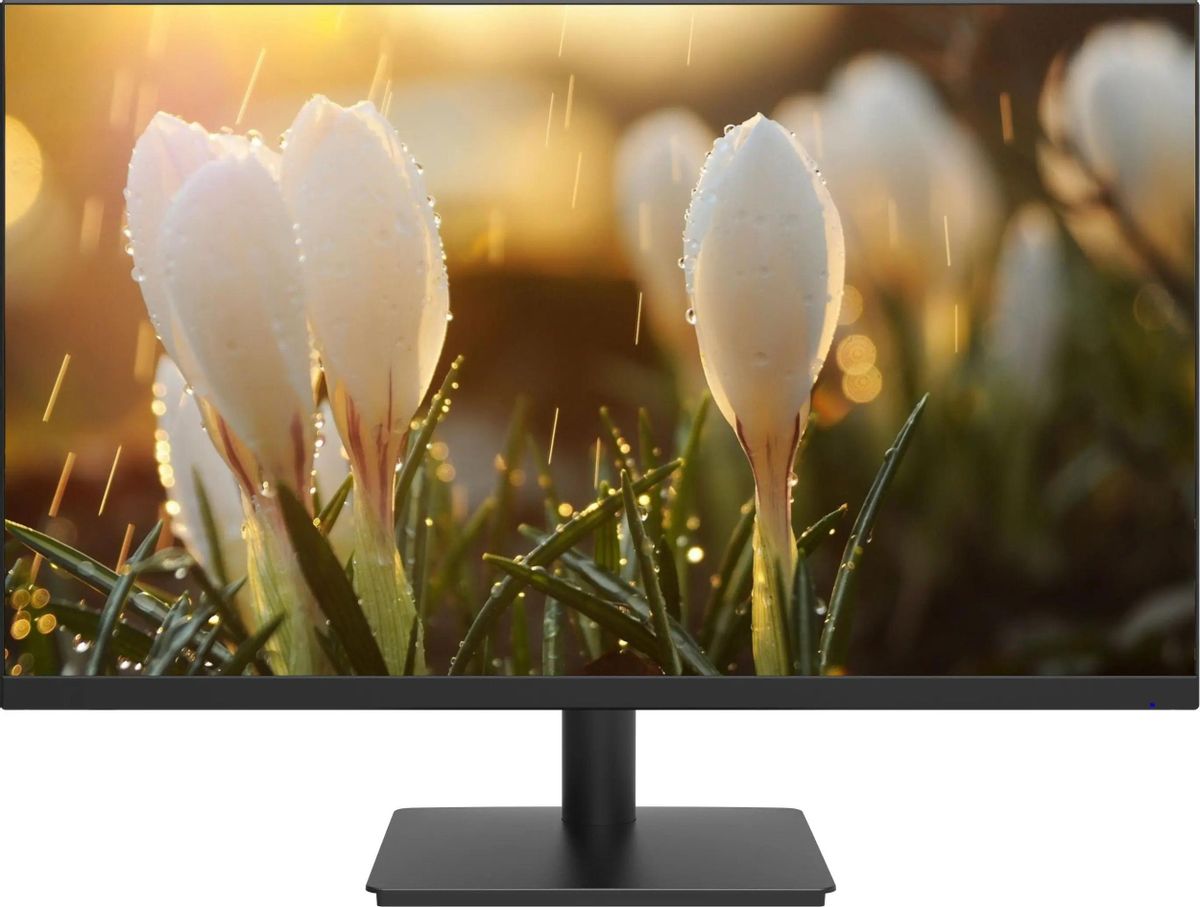 

Монитор 23.8" Dahua LM24-A201H IPS, 1920x1080 (16:9), 250кд/м2, 100 Гц, 5 мс, 178°/178°, VGA, HDMI, DisplayPort, черный (DHI-LM24-A201H), LM24-A201H