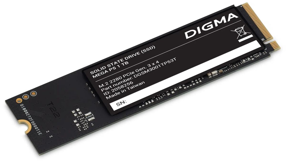 SSD Digma Mega P5 1Tb PCI-E 3.0 x4 (DGSM3001TP53T)