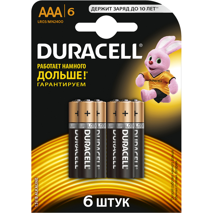 Батарея Duracell Basic LR03-6BL, AAA, 1.5V 6шт, цвет черный/золотистый - фото 1