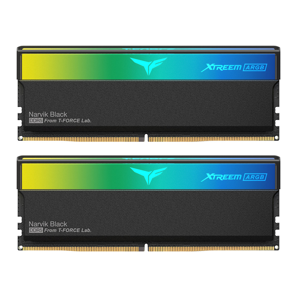 Комплект памяти DDR5 DIMM 32Gb (2x16Gb), 8000MHz Team Group (FF9D532G8000HC38DDC01)
