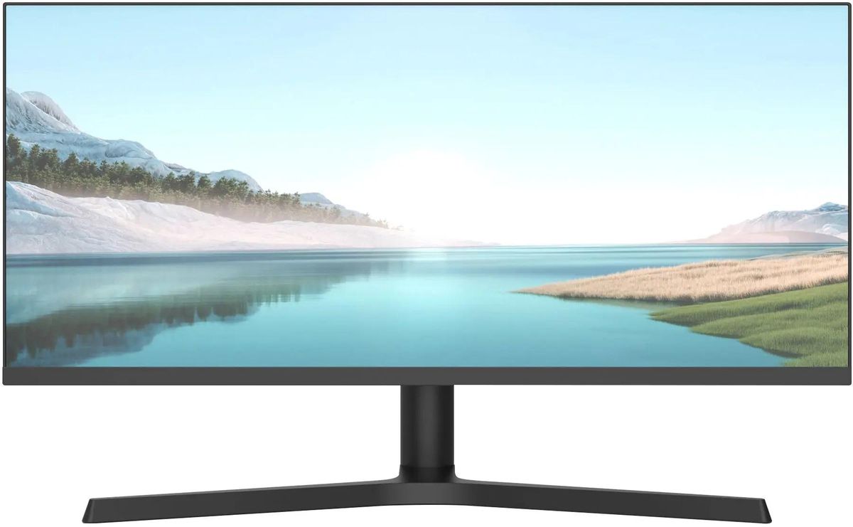 Монитор 29" NPC MZ300L черный